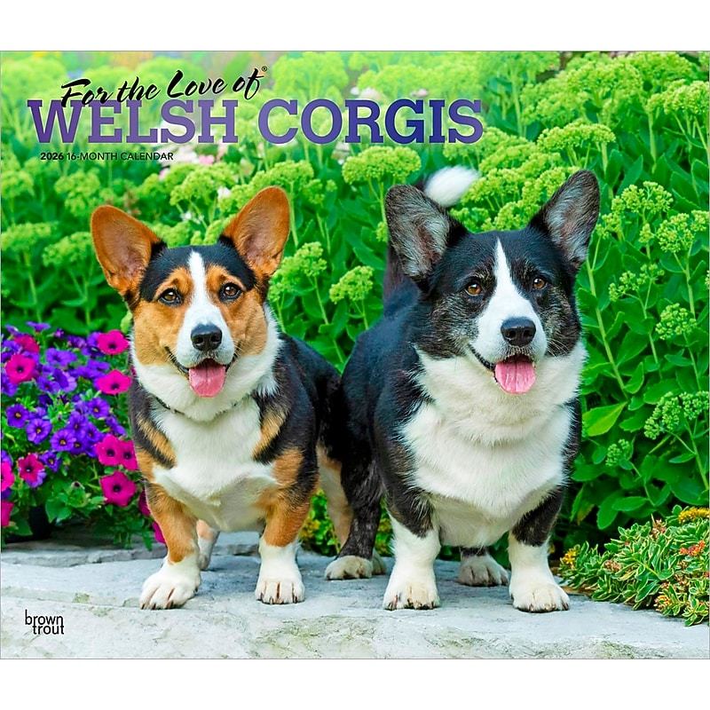 2026 BrownTrout For the Love of Welsh Corgis 14" x 12" Monthly Wall Calendar (9798330707195) image 1