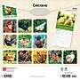 2026 BrownTrout Chickens 12" x 12" Monthly Wall Calendar (9798330702909)~#|#~87BC784C-6DCC-413B-A7DEF1E46F2659AD_sc7
