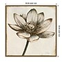 Amanti Art Sepia Lotus Blossom II by Patricia Pinto Framed Canvas Wall Art Print, 30" x 30" (A42678299854)~#|#~87C5AB21-1191-4FDB-8B6FA01253F0A3A5_sc7