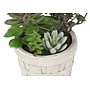 Monarch Specialties Inc. 9" Artificial Succulent Plant in Pot, 2/Set (I 9365)~#|#~87E48A71-07DF-4917-9A9BABF0E7CFAFC4_sc7