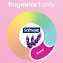 Softsoap Liquid Hand Soap, Coconut & Hibiscus Scent, 11.25 Fl. Oz., 6/Carton (US07157ACT)~#|#~87F6B6B9-A99E-4D69-9512C2213104D878_sc7