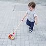 Plan Toys Walk N Roll Wooden Push & Pull Toy, Multicolored (PTS5137)~#|#~87F6FA4F-C7F0-4E22-9548E1C79A0B04E3_sc7