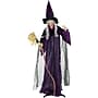 Haunted Hill Farm Life-Size Animatronic Witch with Broomstick (HHWITCH-5FLSA)~#|#~880C41A0-F22D-47F9-96286F42163437C6_sc7