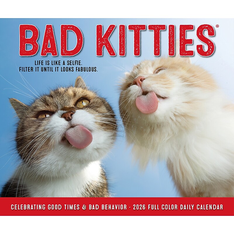 2026 Willow Creek Bad Kitties 6.2" x 5.4" Day-to-Day Calendar (53959) image 1