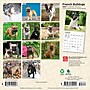 2027 BrownTrout French Bulldogs 7" x 7" Monthly Wall Calendar, Assorted Colors (9798330709991)~#|#~88124BBD-7B6A-4B9B-90E050A5DC7A59AB_sc7