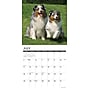 2027 Willow Creek 12" x 12" Monthly Wall Calendar, Assorted Colors (58930)~#|#~88273ACB-440B-437B-95B192A909995175_sc7