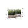 Monarch Specialties Inc. 12" Artificial Grass Plant in Pot (I 9374)~#|#~88337B52-557F-42CF-AFB3E787E9D9562A_sc7