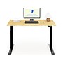 FlexiSpot E7 Pro 55"W Electric Adjustable Standing Desk, Bamboo/Black (E7BPRO5528-LBZB)~#|#~8838A06B-F883-4E46-8EC515427BC8FF0A_sc7
