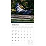 2026 BrownTrout North Carolina Wild & Scenic 12" x 12" Monthly Wall Calendar (9798330704910)~#|#~88412188-885A-4791-9975C791912819C3_sc7