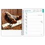 2027 BrownTrout Chickens 6.5" x 7.8" Calendar Year Weekly Standard Planner, Multicolor (9798330714919)~#|#~8842226D-4DF1-495D-A089ED4A3A91CB6D_sc7