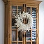 Nearly Natural Artificia Real Touch White Norfolk Island Pine Wreath, 24" (W1403)~#|#~884978FB-7B26-4E9D-80990DF618BFA429_sc7
