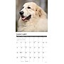 2026 Willow Creek Great Pyrenees 12" x 12" Monthly Wall Calendar (51375)~#|#~884D4048-821E-4858-8A6D1A9B97CBB98C_sc7