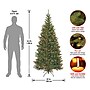 National Tree Company Aspen Spruce Artificial Christmas Tree (AP7-301-65)~#|#~8850A3A9-2C7E-4A70-8EE548623BC431F5_sc7