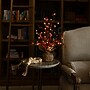 Nearly Natural 18-in Pre-Lit Artificial Valentine's Day Heart & Berry Twig Tree with 30 LED String Lights (T5470)~#|#~88550D44-6DD7-4577-944A4F76E4E25EE4_sc7