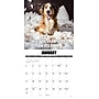 2027 Willow Creek Dog-Gone-It  12" x 12" Monthly Wall Calendar (60032)~#|#~8862461F-4134-4ADB-8CEF3DA0ADCDBEB1_sc7