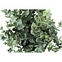 Monarch Specialties Inc. Eucalyptus and Grass in Pots, 2/Pack (I 9580)~#|#~8863277C-55B9-4DF5-ADBF4A32403DE243_sc7