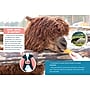 Farm Animal Sanctuaries Picture Book, Hardcover~#|#~8866C13D-17A3-4523-8323AACA4B2684A8_sc7
