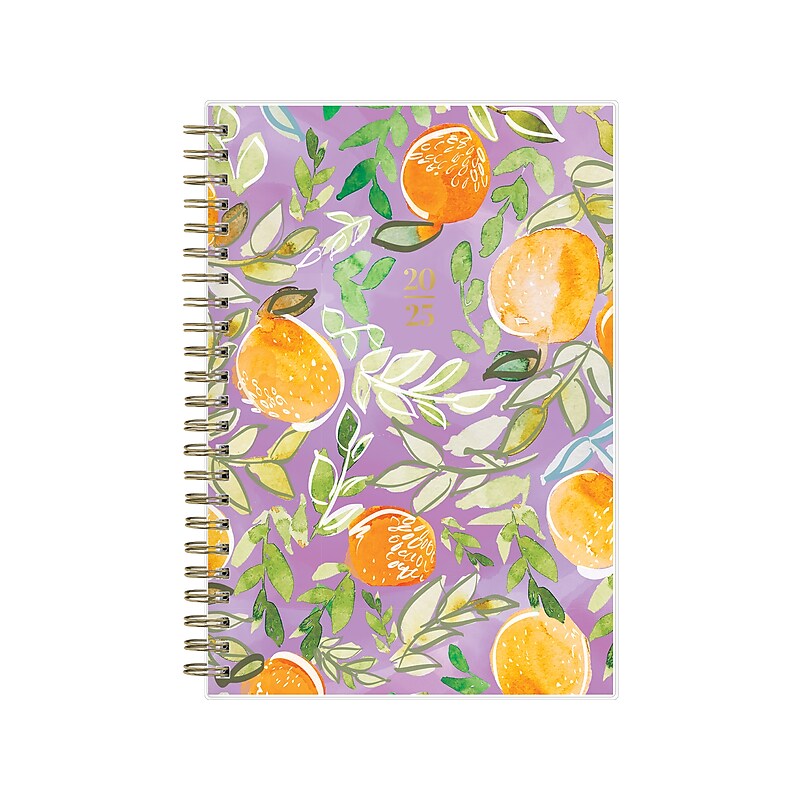 2025 Blue Sky Britt Mills Citrus Sunrise 5" x 8" Weekly & Monthly Planner, Plastic Cover, Multicolor (152472) image 1
