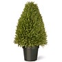 National Tree Company 30" Artificial Upright Juniper (LCY4-30)~#|#~886F1353-16D6-43EE-A220187CA0772A05_sc7