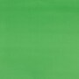 JAM Paper Gift Wrap, 26.3' x 2.5", Lime Green, 2/Pack (277013530263a)~#|#~8871FEF4-B9BC-44D3-B8281B22A6AC6480_sc7