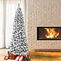 National Tree Company Acacia Artificial Christmas Tree (AC100-502-75F)~#|#~88953BB8-FBD4-429B-AEA3AC7B5463724C_sc7