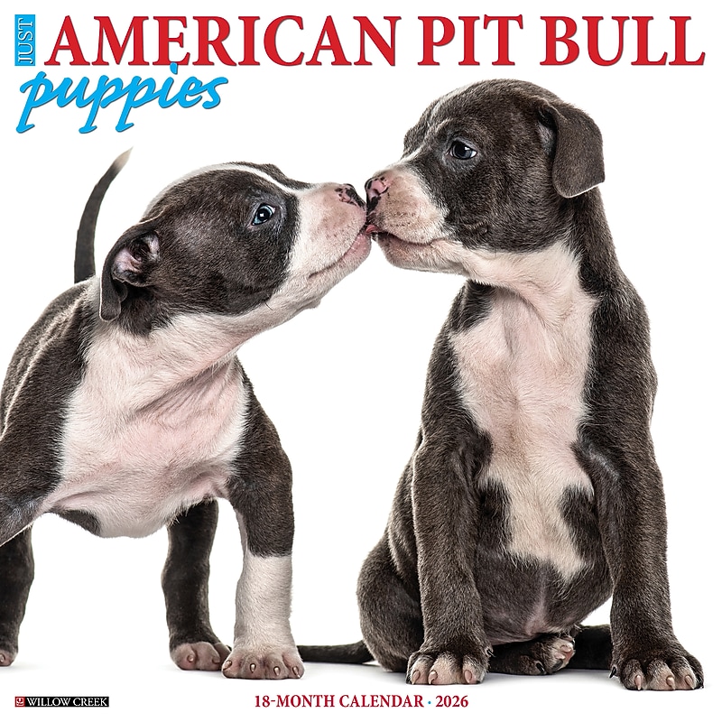 2026 Willow Creek American Pit Bull Terrier Puppies 12" x 12" Monthly Wall Calendar (49839) image 1