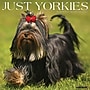 2027 Willow Creek Yorkies 12" x 12" Monthly Wall Calendar, Assorted Colors (63118)~#|#~88AE417B-9E10-4EE4-9A6E0ED94110DEF9_sc7