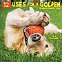 2026 Willow Creek 12 Uses for a Golden 12" x 12" Monthly Wall Calendar (49730)~#|#~88BAD3F5-2E92-44AD-AC72C353630BE322_sc7
