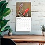 2026 BrownTrout Cardinals 12" x 12" Monthly Wall Calendar (9798330702749)~#|#~88BD80A4-57D5-4B80-B7A32A76A925E324_sc7