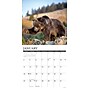 2026 Willow Creek Grizzlies 12" x 12" Monthly Wall Calendar (51399)~#|#~88BEEBF9-46AA-4FE1-B955B401EF7C7167_sc7