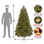 National Tree Company Jersey Fraser Fir Artificial Christmas Tree (PEJF1-302LD-65)~#|#~88BF0ABD-65A5-4850-BA053F1E249CF65C_sc7