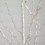 Nearly Natural 6-ft Pre-Lit Artificial White Birch Tree with 400 Color Changing LED Lights (T4921)~#|#~88C31BF8-A39C-481E-9C156BF16A081B87_sc7