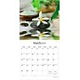 2026 Brush Dance Mindful Living 12" x 12" Monthly Wall Calendar (9798330706549)~#|#~88C3A197-514E-4F66-A96B008D13C2285A_sc7