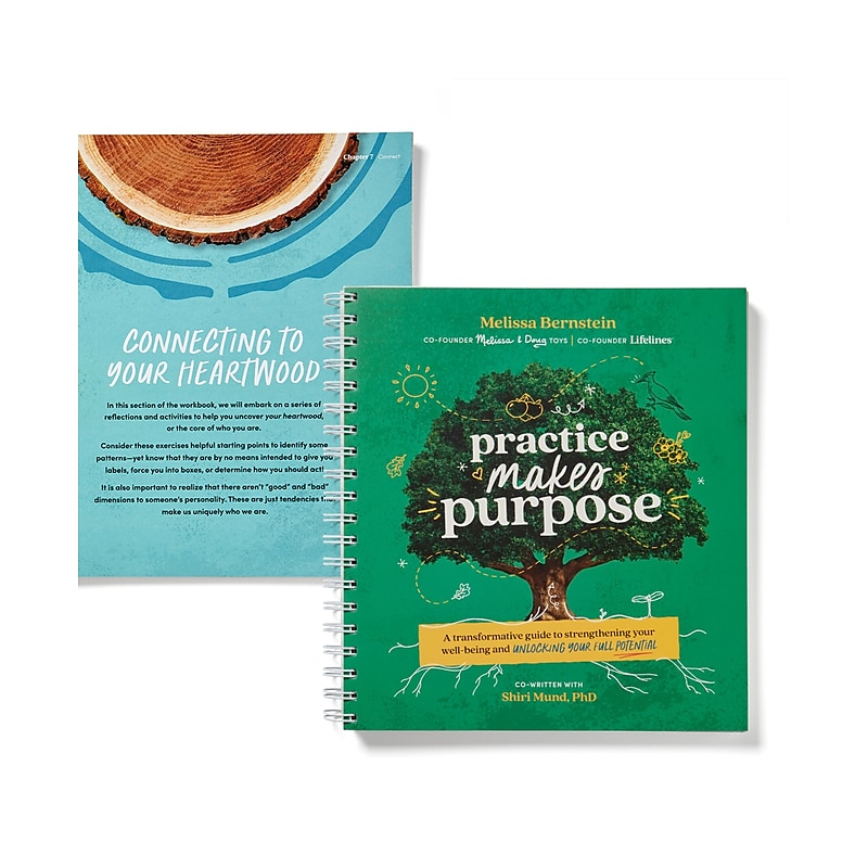 Lifelines Practice Makes Purpose Guided Journal, Multicolor, 180 Pages (17-1101) image 1