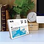 2027 Willow Creek Zoo In A Box 5.4" x 6.2" Day-to-Day Calendar (63859)~#|#~88D70390-E7C7-4282-A2739C83FFAD5E8C_sc7