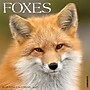 2027 Willow Creek Foxes 12" x 12" Monthly Wall Calendar, Assorted Colors (60278)~#|#~88DAFCF1-AD50-4388-8101EA157BEB5228_sc7