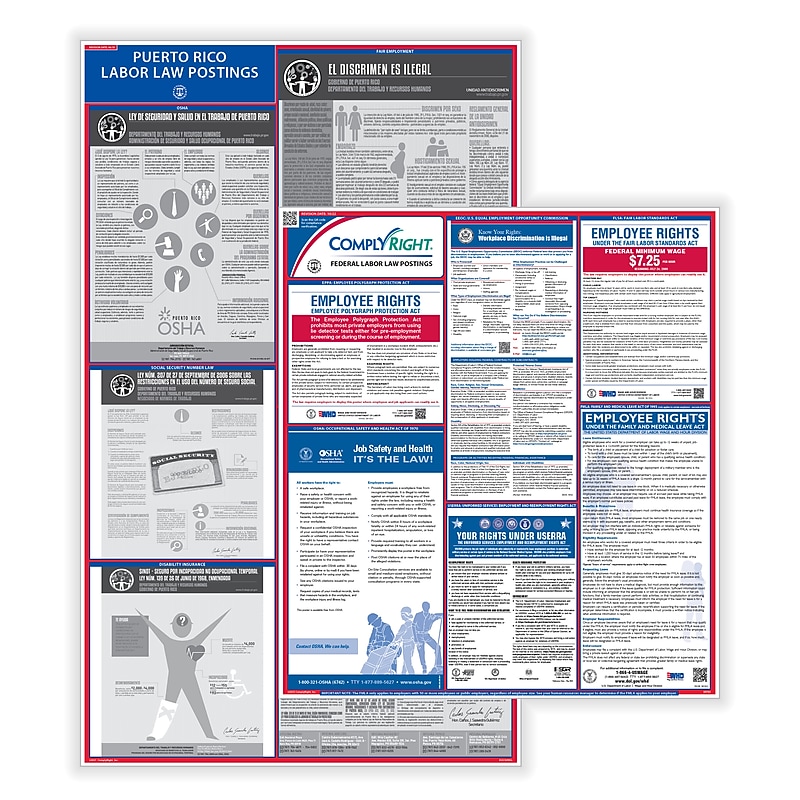 ComplyRight Federal and State (English) Labor Law 1-Year Poster Service, Puerto Rico Spanish (U1200CPRS) image 1