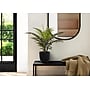 Monarch Specialties Inc. 20" Artificial Palm Plant in Pot (I 9501)~#|#~88E33A03-EF03-4459-895D83B9290D98A2_sc7