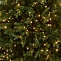 National Tree Company Princeton Fraser Fir Artificial Christmas Trees, 6.5 ft. (PEPO2-D08-65)~#|#~88EB4017-1CAF-48E0-A4A87E0040F79AA1_sc7