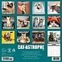 2027 Willow Creek Cat-astrophe 12" x 12" Monthly Wall Calendar, Assorted Colors (59555)~#|#~88F84965-7EF2-419E-97114BCC5DC72F29_sc7