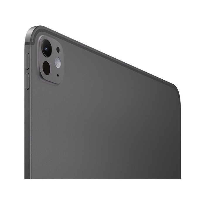 iPad本体 pora27 Apple iPad Pro 13