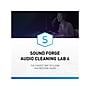 Magix SOUND FORGE Audio Cleaning Lab 4 for 1 User, Windows, Download (639191921339)~#|#~891844FC-A376-4492-99D32FD8F7B3A686_sc7