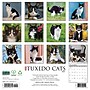 2027 Willow Creek Tuxedo Cats 12" x 12" Monthly Wall Calendar, Assorted Colors (62715)~#|#~891E6167-99AF-4948-98B8A1D4AF50D53E_sc7
