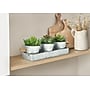 Monarch Specialties Inc. 6" Artificial Succulent in Pot, 3/Set (I 9372)~#|#~892E5BF3-4215-4FB3-A5E2B4E19FB2D29C_sc7
