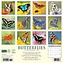 2026 Willow Creek Butterflies 12" x 12" Monthly Wall Calendar (50453)~#|#~893D3404-A05C-4D10-B2D26E12FAAFEEAA_sc7