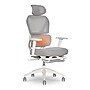 Sharper Image S-850 Heated Ergonomic Mesh Swivel Executive Massage Chair, Light Gray/White (60106-LGRYWHT)~#|#~894D06E1-5317-475F-82640D9BDCDE115B_sc7
