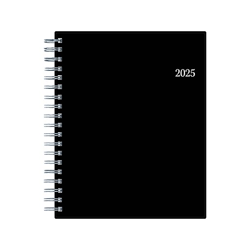 2025 Blue Sky 8.5" x 11" Daily & Monthly Planner, Plastic Cover, Black