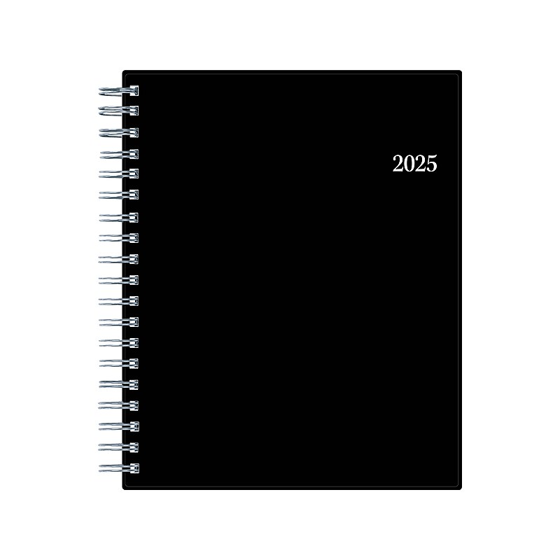 2025 Blue Sky 8.5" x 11" Daily & Monthly Planner, Plastic Cover, Black (150852) image 1
