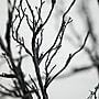 Nearly Natural 6' Pre-Lit Halloween Black Twig Artificial Fall Tree with 300 Orange and Purple LED Lights (T4756)~#|#~E18176E3-0CA2-4ECF-A01FA74F59A44512_sc7