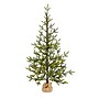 Nearly Natural 4-ft Fraser Fir Natural Look Artificial Christmas Tree with 100 Clear LED Lights and a Burlap Base (T1989)~#|#~895B55B1-3156-4BEF-910E05103C1416B8_sc7